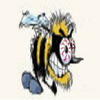 madwasp